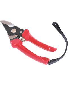 Pruning Shears 1อัน
