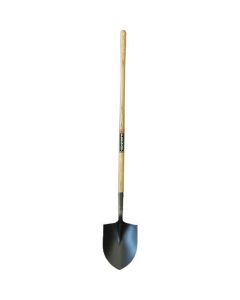 Shovel 1อัน