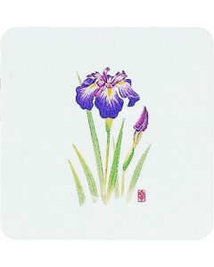 แผ่นรองแก้วสไตล์ญี่ปุ่น ลายสี่ฤดู (50 ชิ้น) - WCO-K4 Iris