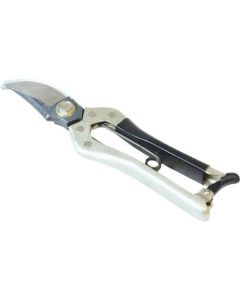 Scissors 1อัน