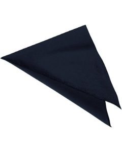 ผ้าพันแผลรูปสามเหลี่ยม EA-5356 (สีดำ)