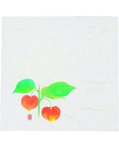 กระดาษชิกิ ไคชิ ใหม่ ขนาด 5 นิ้ว (100 แผ่น) NS-8 ลายต้นโคมจีน