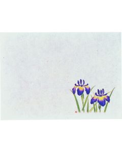 กระดาษถนอมอาหารด้วยรังสีอินฟราเรดระยะไกล ขนาดเล็ก (100 แผ่น) ลายดอกไอริส