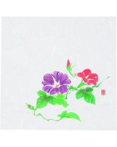กระดาษชิกิ ไคชิ ใหม่ ขนาด 5 นิ้ว (100 แผ่น) ลายดอกมอร์นิ่งกลอรี่ NS-9