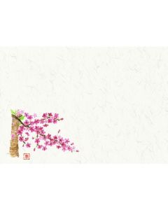 แผ่นรองโต๊ะ Shiki-Kaigami (100 แผ่น) No. 204 Sakura