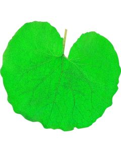 แผ่นพลาสติกใสแบบไดคัท (200 แผ่น) 65365 สำหรับเช็ดทำความสะอาด