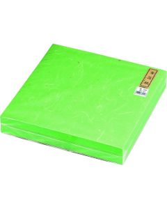 กระดาษเคลือบฟอยล์สีทอง สีเขียว (500 แผ่น) M33-471