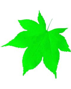 แผ่นพลาสติกใสแบบไดคัท (200 แผ่น) 65366 ลายใบเมเปิลสีน้ำเงิน