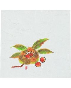 กระดาษ Shiki Kaishi ใหม่ ขนาด 5 นิ้ว (100 แผ่น) สี NS-13 เกาลัด
