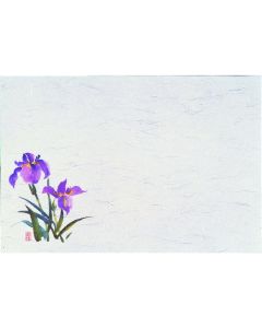 ชิกิชิ เซ็นจู (100 แผ่น) - ไอริส - M30-207