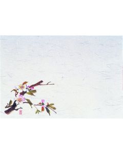 ชิกิชิ เซนจู (100 แผ่น) - Cherry Blossom - M30-205