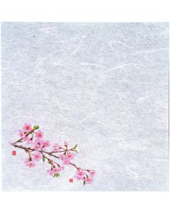 กระดาษเช็ดทำความสะอาดด้วยน้ำแบบใหม่ (100 แผ่น) - ดอกซากุระ