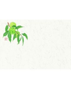 แผ่นรองจาน Shiki-Kaigami (100 แผ่น) หมายเลข 407 สีน้ำตาลเกาลัด