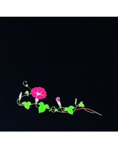 OP Clear Four Seasons Morning Glory (200 แผ่น) OS-18-8