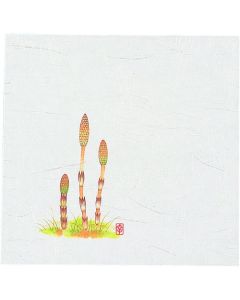 กระดาษชิกิไคชิใหม่ 5 นิ้ว (100 แผ่น) NS-5 ลายสึคุชิ (หางม้า)