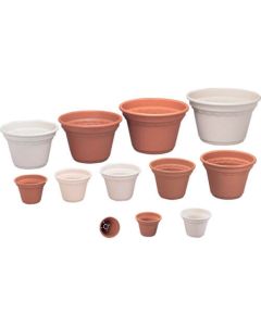 a flower pot 1อัน