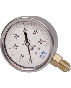 Pressure Gauge