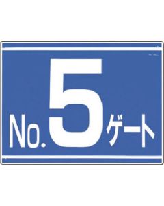 19-G5 1แผ่น