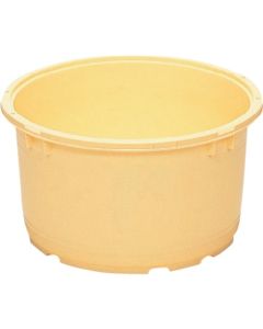 Sanko Tal #20 Flat 401900 Cream
