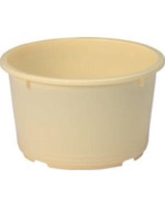 ห้องชุดเลขที่ 5 ถนนซันโก ตาล (ยูนิตหลัก) 400504 สีครีม