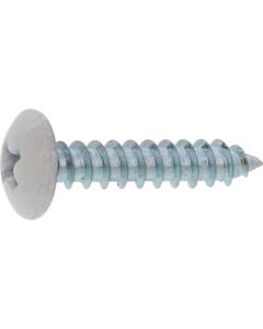 White color base zincblue (+)Tapping Type A Truss Head 3.5 X 40  กล่องละ 600 เส้น