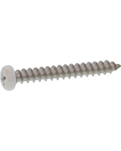 White color SUS (+)Tapping Type A Pan Head 5 X 40  กล่องละ 200 เส้น