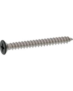 Black color SUS (+)Tapping Type A Flat Head 4 X 20  กล่องละ 500 เส้น