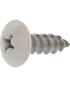 White color SUS (+)Tapping Type A Truss Head 4 X 40  กล่องละ 200 เส้น