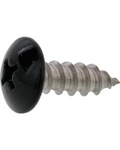 Black color SUS (+)Tapping Type A Truss Head 4 X 40  กล่องละ 200 เส้น