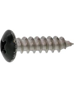 Black color SUS (+)Tapping Type A Small Truss Head 4 X 16  กล่องละ 1,000 เส้น