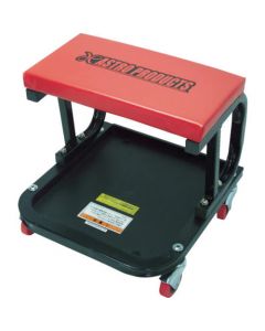 ไม้เลื้อยแผ่น