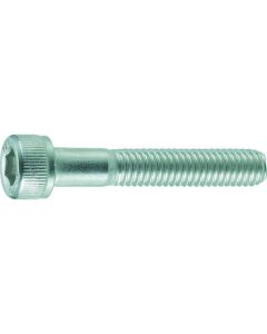 Stainless Steel Hexagon Socket Head Cap Bolt