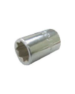 Socket (6pt.) 1อัน