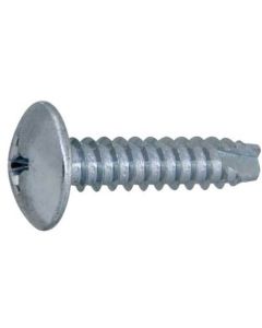 Trivalentzinccr+3 white(+)Tapping Type B1 Truss 4 X 60  กล่องละ 300 เส้น