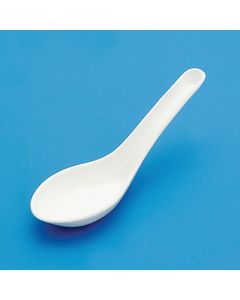 Spoon 10อัน