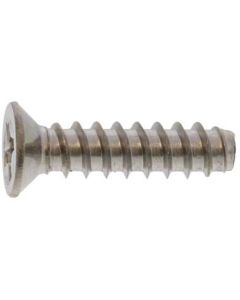 Bronze SUS (+)Tapping Type B0 Small Flat Head 4 X 12  กล่องละ 1,000 เส้น
