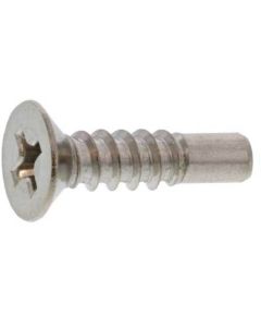 Bronze SUS (+)Tapping Type BRP Flat Head 4X20(G=5  กล่องละ 1,000 เส้น