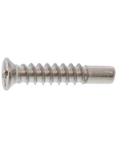 White color SUS (+)Tapping Type BRP Small Flat Head 4X40(G=5  กล่องละ 500 เส้น