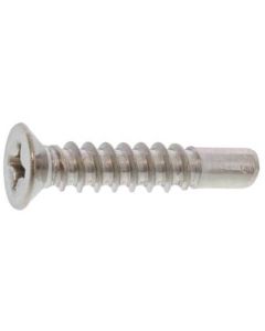 Bronze SUS (+)Tapping Type BRP Small Flat Head 4X25(G=5  กล่องละ 1,000 เส้น