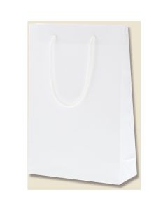 ถุงกระดาษสำหรับช้อปปิ้ง สีขาว ยี่ห้อ Bright Bag SWT แพ็คละ 10 ใบ