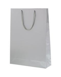 ถุงกระดาษช้อปปิ้งสีเงิน Bright Bag G2 (10 ชิ้น)