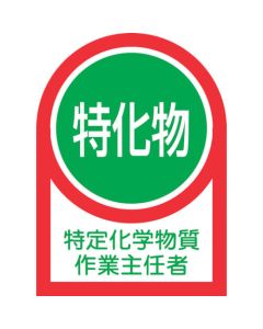 Safety Sticker for Helmet