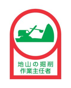 Safety Sticker for Helmet ชุดละ 10แผ่น