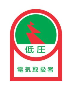 Safety Sticker for Helmet