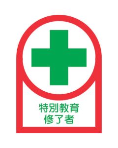 Safety Sticker for Helmet ชุดละ 10แผ่น