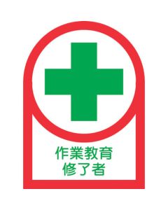Safety Sticker for Helmet ชุดละ 10แผ่น