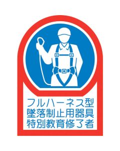 Safety Sticker for Helmet ชุดละ 10แผ่น