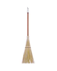 Fern broom 1เส้น