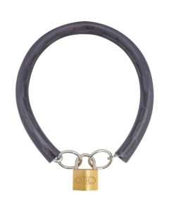 Chain & Padlock อันละ 1 อัน