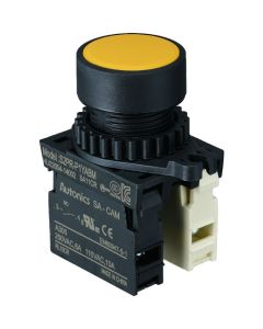 Push-Button Switch